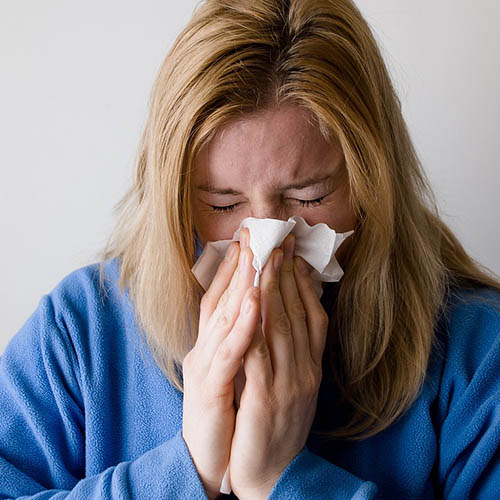 Vue interieure de la Pharmacie Berlioz
